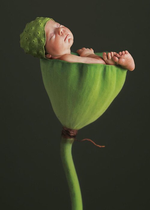 Lotus Greeting Card featuring the photograph Nyah in Lotus Bud by Anne Geddes