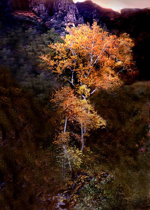Oak Creek Canyon. Sedona . Flagstaff Greeting Card featuring the photograph Oak Creek Canyon by Joe Hoover