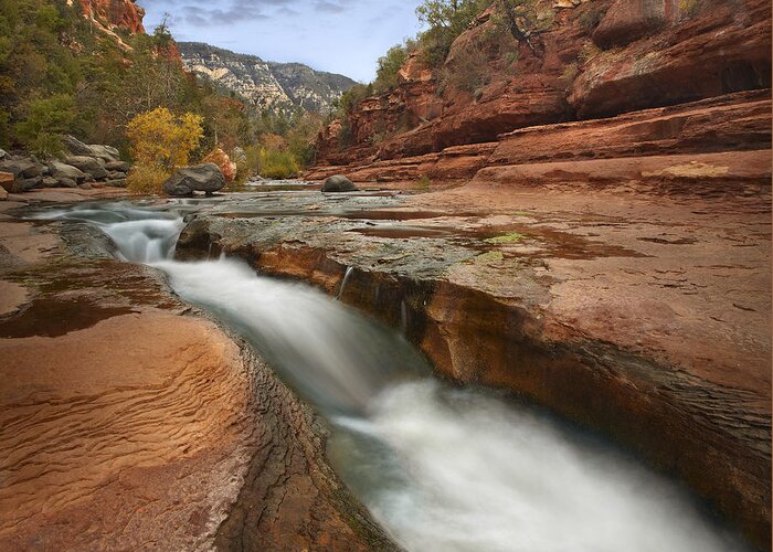 00438935 Greeting Card featuring the photograph Oak Creek In Slide Rock State Park by Tim Fitzharris