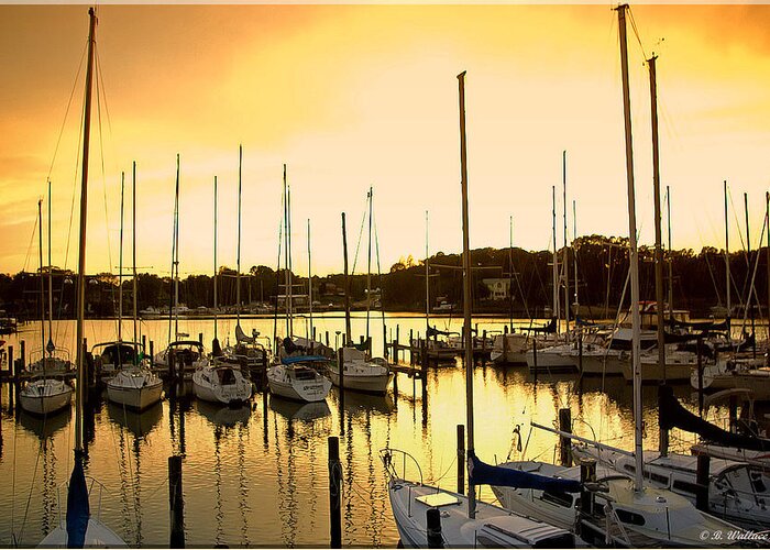 2d Greeting Card featuring the photograph Oak Point Harbor by Brian Wallace