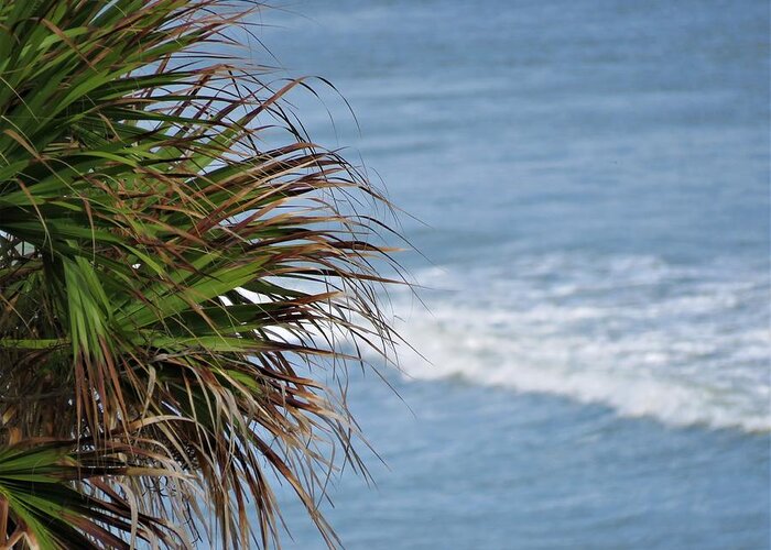 Kathy Long Greeting Card featuring the photograph Ocean and Palm Leaves by Kathy Long