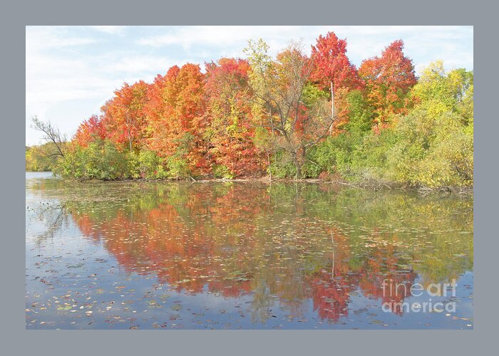 Autumn Greeting Card featuring the photograph October Ablaze by Ann Horn