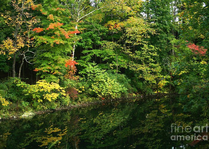 Autumn Greeting Card featuring the photograph October Reflections by Karen Adams