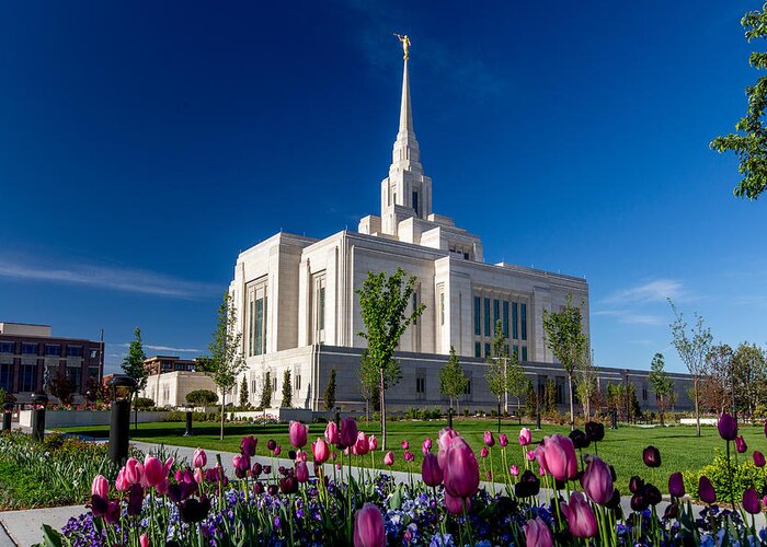 Lds Greeting Card featuring the photograph Ogden Utah LDS Temple Spring #1 by Scott Law