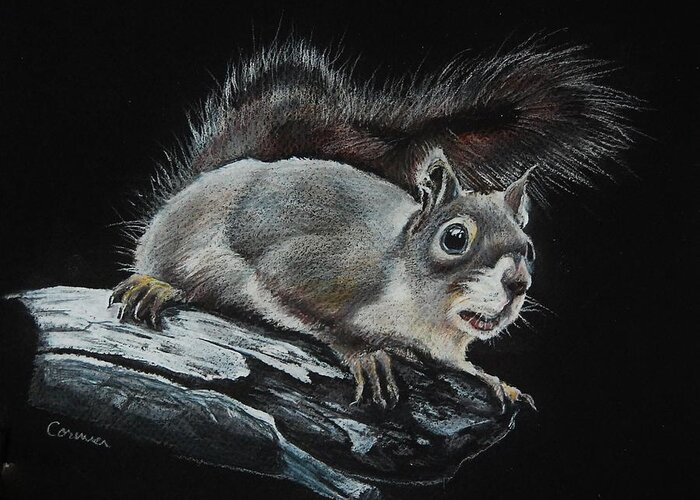 Squirrel Greeting Card featuring the drawing Oh Nuts by Jean Cormier