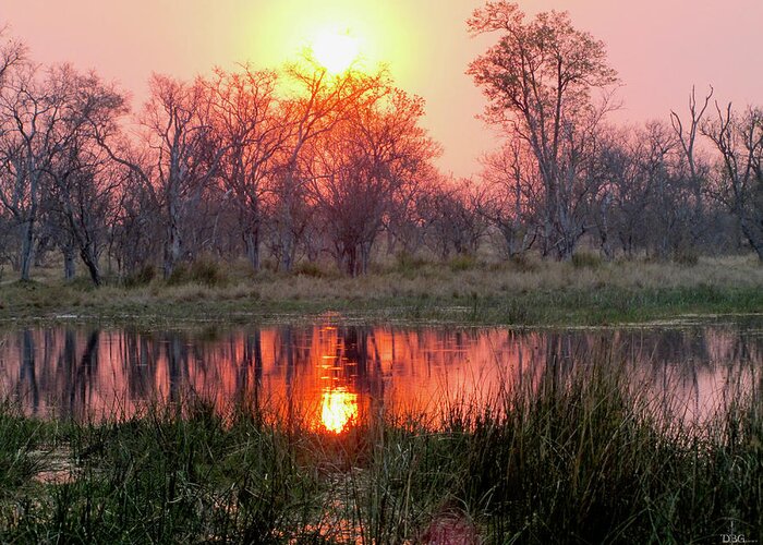 Landscape Greeting Card featuring the photograph Okavango Delta by David Bader