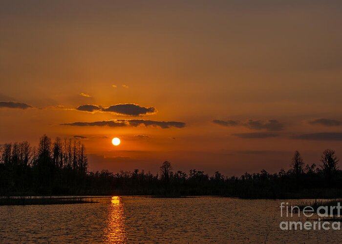 Okefenokee Greeting Card featuring the photograph Okefenokee Sunset by Southern Photo