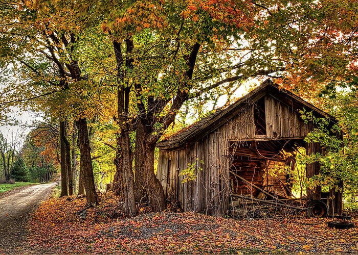 Hdr Photography Greeting Card featuring the photograph Old Autumn Shed by Richard Gregurich