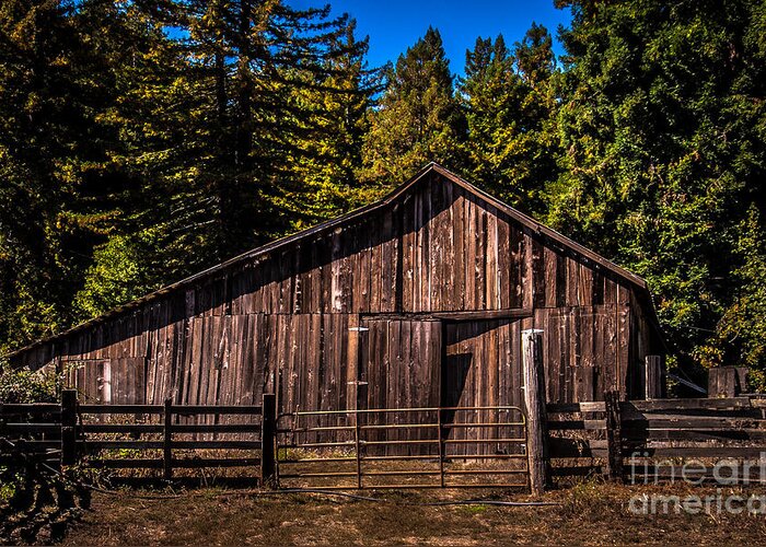 Barn Greeting Card featuring the photograph Old Barn Coleman Valley Road by Blake Webster