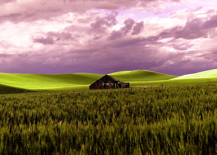 Barn Greeting Card featuring the photograph Old Barn in a Pa-louse wheat field by Jeff Swan
