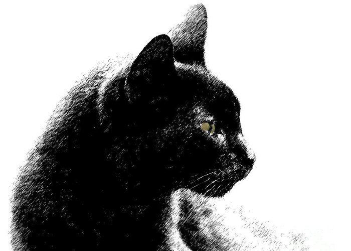 Old Black Cat Greeting Card featuring the photograph Old Black Cat Two by Lila Fisher-Wenzel