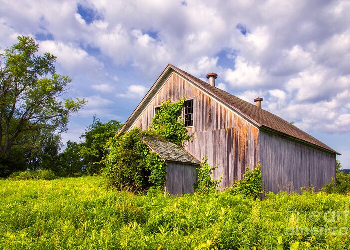 Barns Greeting Card featuring the photograph Morning Solitude by Rod Best