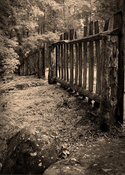 Rustic Greeting Card featuring the photograph Old Fence by Larry Bohlin