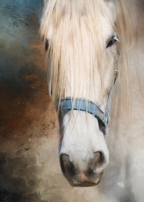 Horse Greeting Card featuring the photograph Old Grey by Robin-Lee Vieira
