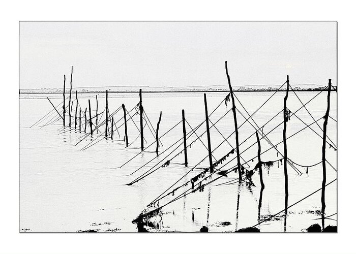 Landscape Greeting Card featuring the photograph Old Nets by Derek Beattie