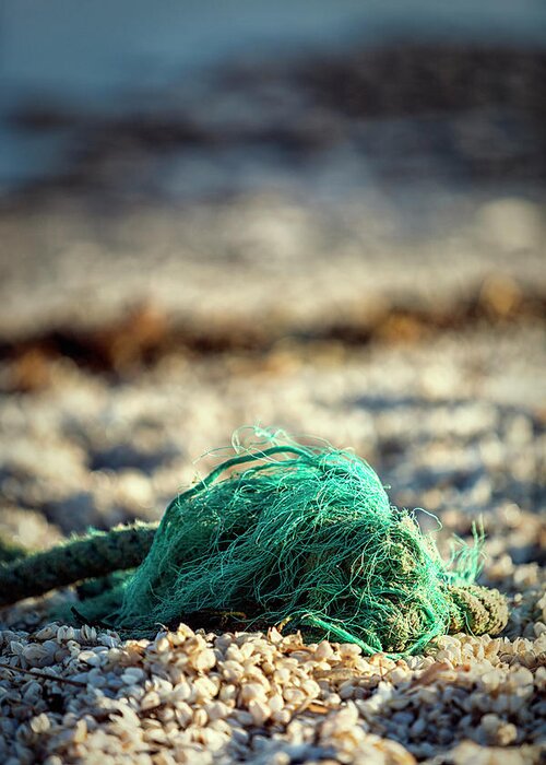 Beach Greeting Card featuring the photograph Old Rope by the beach by Mike Santis