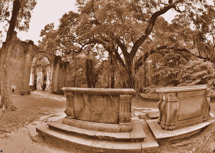 Old Sheldon Church Beaufort Sc Sepia Greeting Card featuring the photograph Old Sheldon Church Ruins Beaufort SC Sepia by Lisa Wooten
