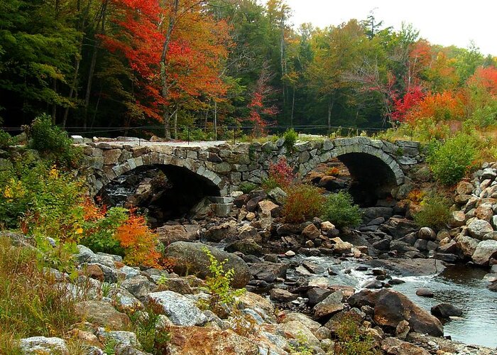 Fall Greeting Card featuring the photograph Old Stone Bridge in Fall by Lois Lepisto