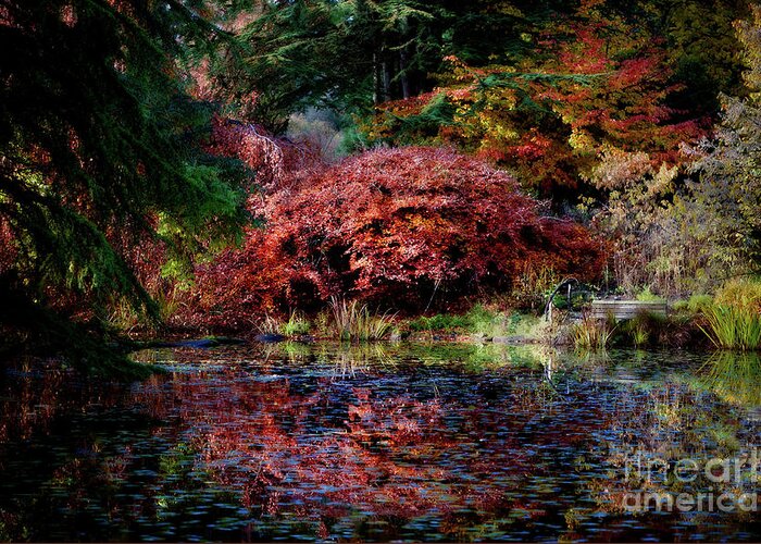 Botanical Greeting Card featuring the photograph On a Lone Autumn Evening by Venetta Archer