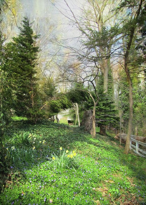 Spring Greeting Card featuring the photograph On a Spring Morning by John Rivera