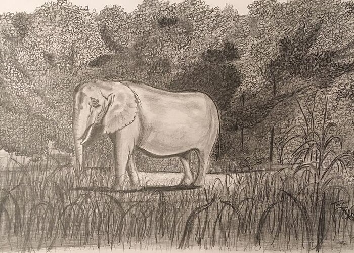 Elephant Greeting Card featuring the drawing On Safari by Tony Clark