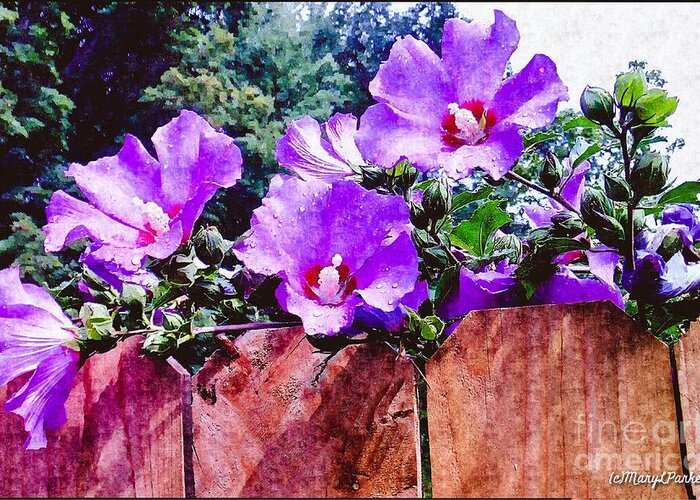Mix Media Greeting Card featuring the mixed media On The Fence by MaryLee Parker