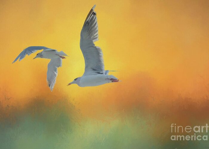 Seagulls Greeting Card featuring the photograph On the way to Trollfjord by Eva Lechner