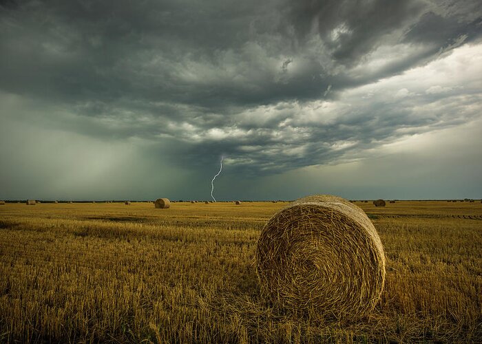 Field Greeting Card featuring the photograph One more time a round by Aaron J Groen
