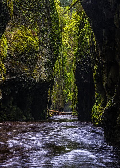 Oneonta Gorge Greeting Card featuring the photograph Oneonta Gorge by Chuck Jason