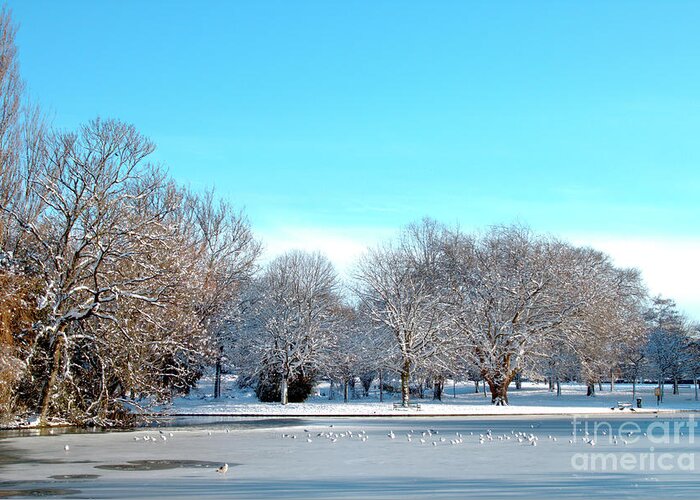 Landscape Greeting Card featuring the photograph On Thin Ice by Baggieoldboy
