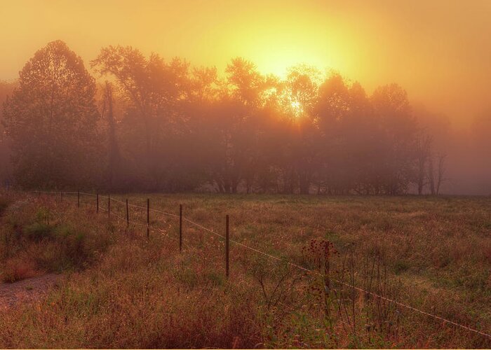 Mist Greeting Card featuring the photograph Oranage Dawn by Robert Charity
