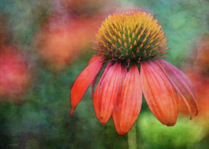 Impressionist Greeting Card featuring the photograph Orange Coneflower 2576 IDP_2 by Steven Ward
