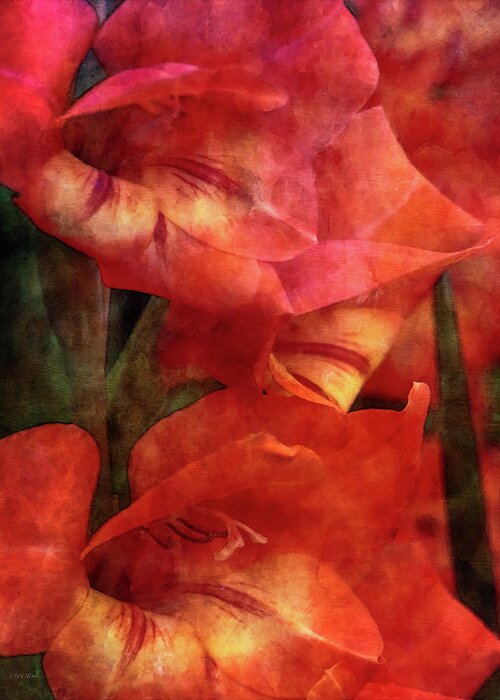 Impressionist Greeting Card featuring the photograph Orange Gladiolus 4252 IDP_2 by Steven Ward