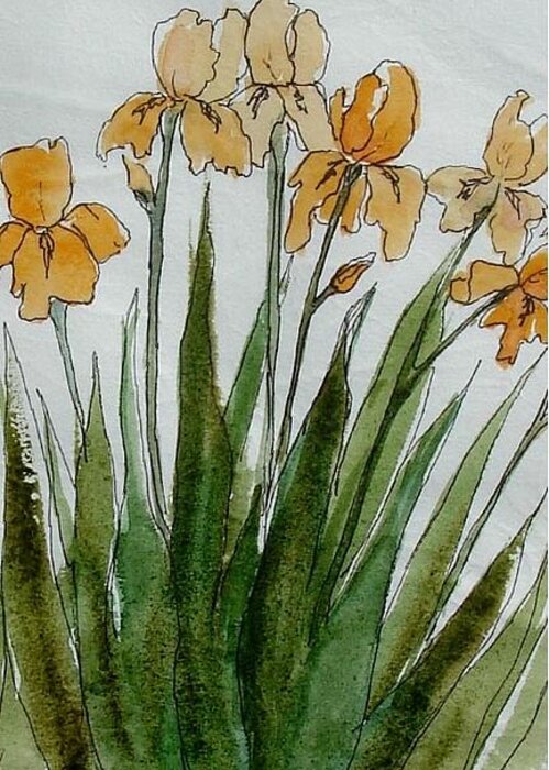 Iris Painting Greeting Card featuring the painting Orange Sprng by Pamela Lee