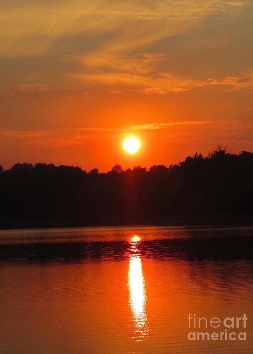 Orange Greeting Card featuring the photograph Orange Sunset Over Water Vertical View by Beth Myer Photography