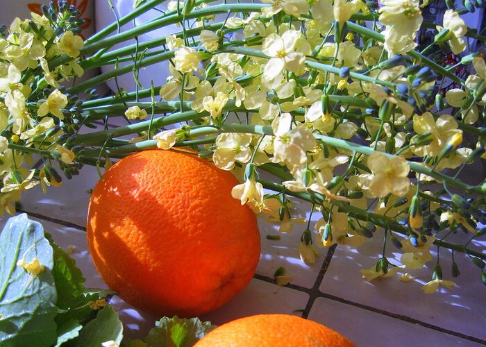 Oranges Greeting Card featuring the photograph Oranges and Blossoms by Lessandra Grimley