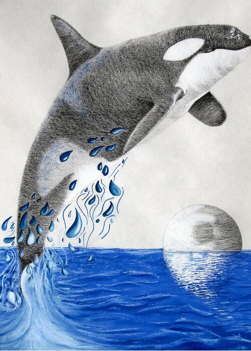 Whale Digital Art Greeting Card featuring the drawing Orca by Mayhem Mediums