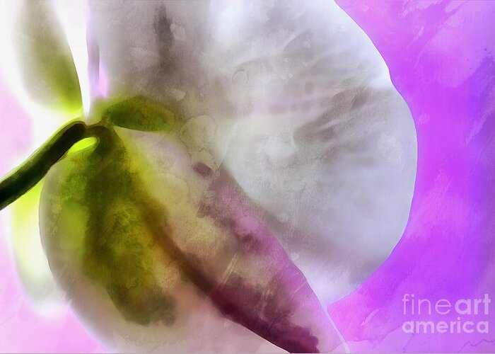 Orchid Greeting Card featuring the photograph Orchid Of Inspiration by Krissy Katsimbras
