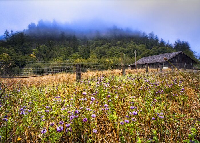 Appalachia Greeting Card featuring the photograph Oregon Scenery by Debra and Dave Vanderlaan