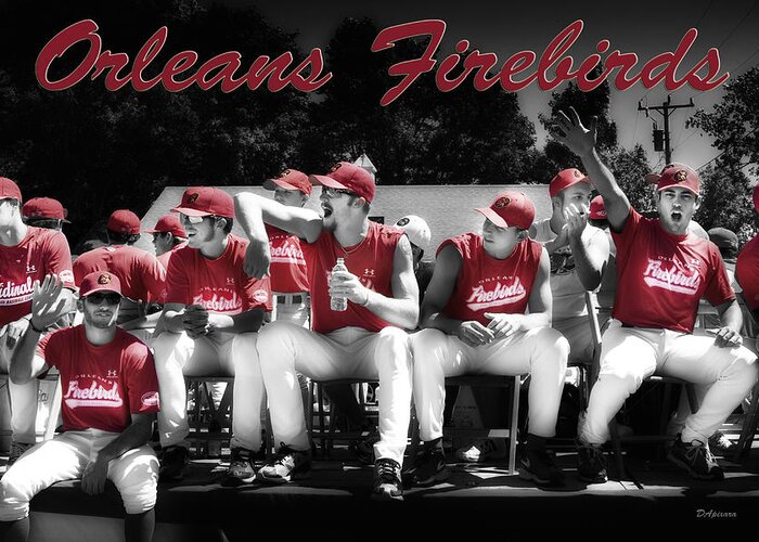 Orleans Firebirds Greeting Card featuring the photograph Orleans Firebirds Baseball Team by Darius Aniunas