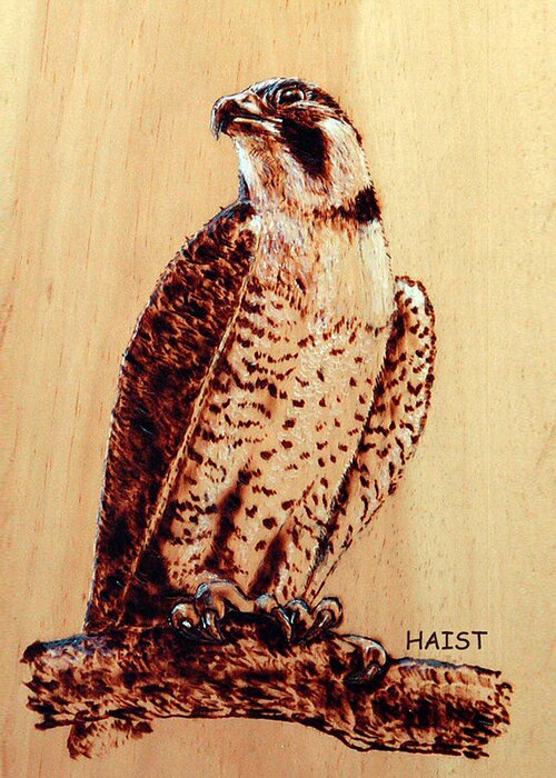 Osprey Greeting Card featuring the pyrography Osprey 2 Pillow/bag by Ron Haist
