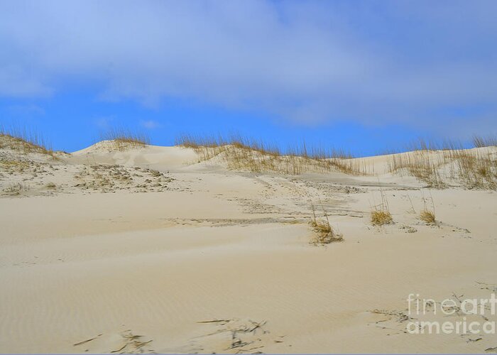 Outer Banks Greeting Card featuring the photograph Outer Banks Sand Dunes No. 22 by Jason Freedman