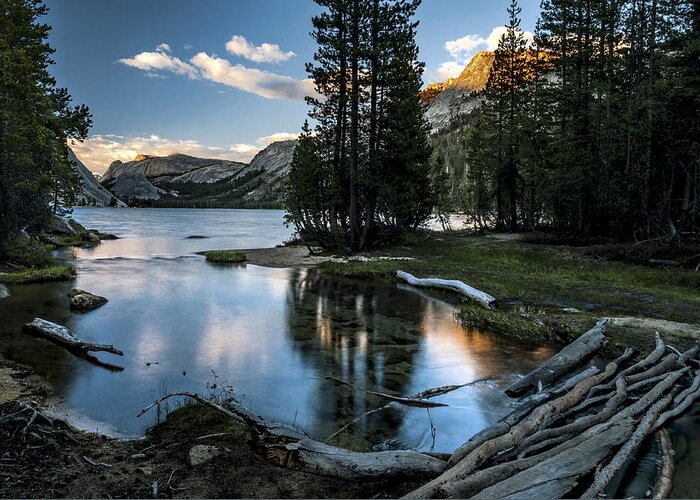 Lake Greeting Card featuring the photograph Outlet at Tenaya Lake by Cat Connor