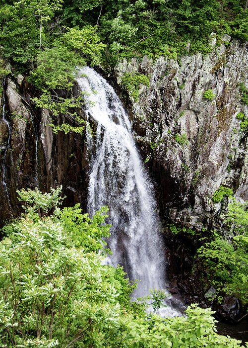 Waterfall Greeting Card featuring the photograph Overall Run Falls 2 by Matt Sexton