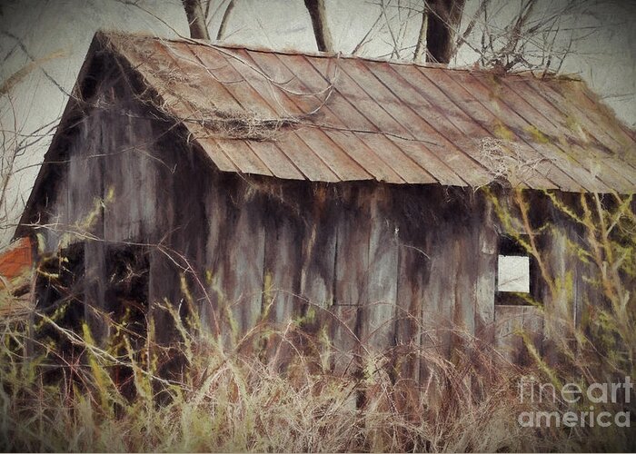Barn Greeting Card featuring the photograph Overgrown by Kerri Farley