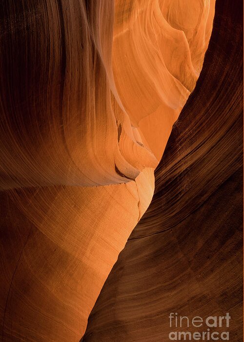 Lower Antelope Canyon Greeting Card featuring the photograph Lower Antelope Canyon #4 by Craig Shaknis