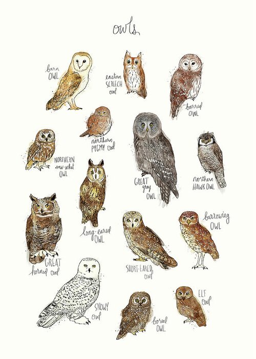 Owl Greeting Card featuring the painting Owls by Amy Hamilton