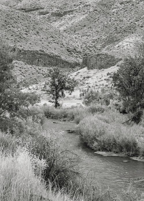 5dii Greeting Card featuring the photograph Owyhee River by Mark Mille