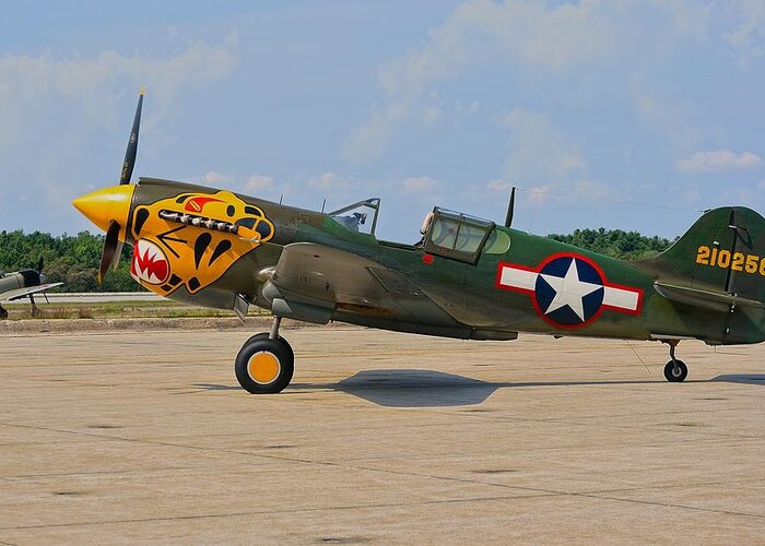  Greeting Card featuring the photograph P-40 Warhawk by Robert Hayes