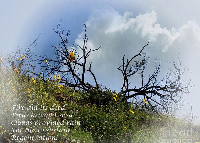 Poems Greeting Card featuring the photograph p10 by Tom Griffithe